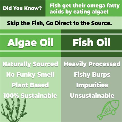 algae omega 3 vs fish|algae oil supplement side effects.